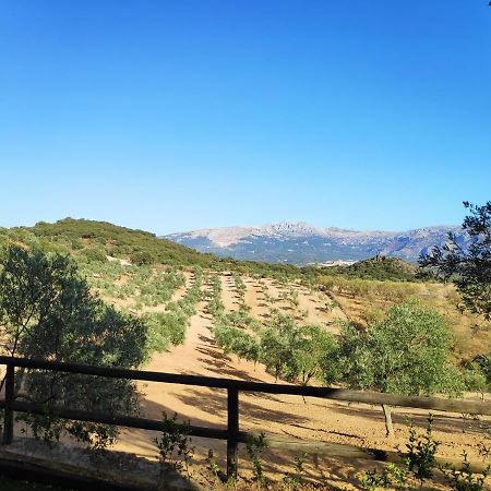 Cortijo El Arrejadero Βίλα Villanueva del Rosario Εξωτερικό φωτογραφία